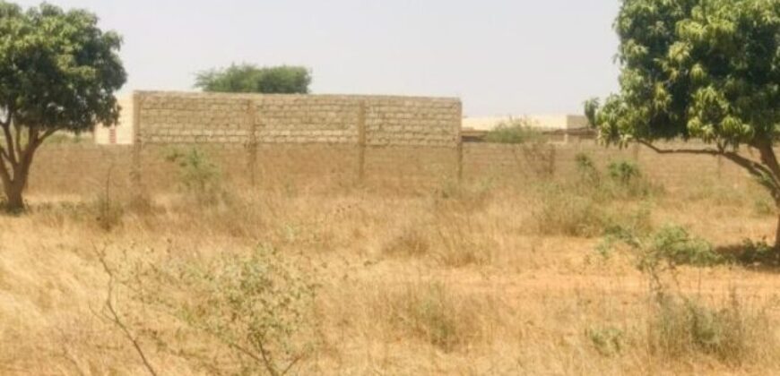Ferme agropastorale 2,52 ha à vendre à Yene, Dakar