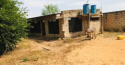Ferme avicole 5.260 m² à vendre à Fandène, Thiès
