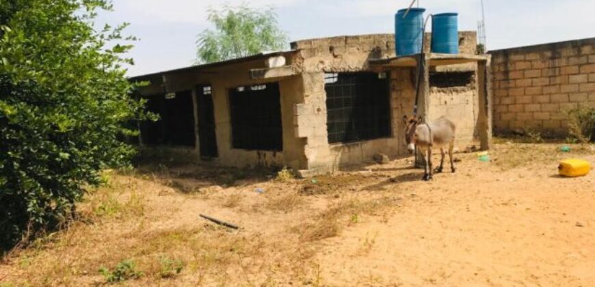 Ferme avicole 5.260 m² à vendre à Fandène, Thiès
