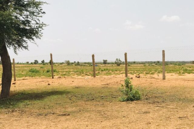 Terrain 8 ha à Vendre — Touba Toul, Thiès
