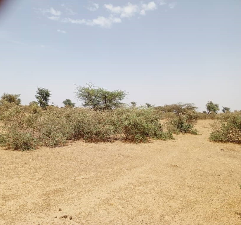 Terrain agricole 48 hectares à vendre – Koul, Thiès