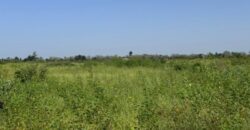 Propriété agricole 1,01 hectare à vendre – Nguéniène, Thiès