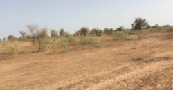 Propriété agricole 1,01 hectare à vendre – Thiénaba, Thiès