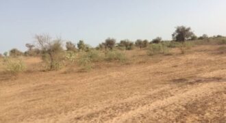Propriété agricole 1,01 hectare à vendre – Thiénaba, Thiès
