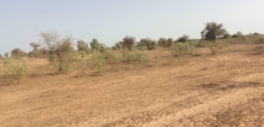 Propriété agricole 1,01 hectare à vendre – Thiénaba, Thiès