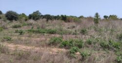 Propriété agricole 1,02 hectare à vendre – Diembéring, Ziguinchor