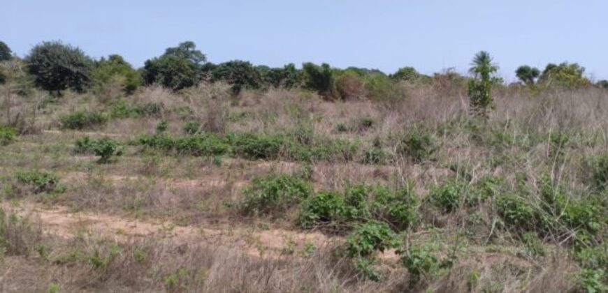 Propriété agricole 1,02 hectare à vendre – Diembéring, Ziguinchor