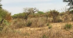 Propriété agricole 1,50 hectare à vendre – Sindia, Thiès