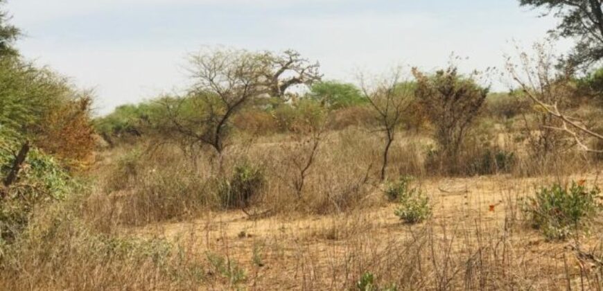 Propriété agricole 1,50 hectare à vendre – Sindia, Thiès
