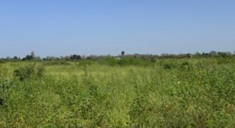 Propriété agricole 1,8 hectare à vendre – Fissel, Thiès