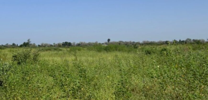 Propriété agricole 1,8 hectare à vendre – Fissel, Thiès