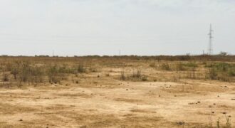 Propriété agricole 1,99 hectare à vendre – Notto Diobass, Thiès