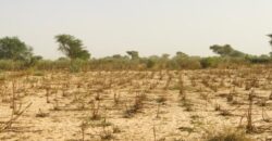 Propriété agricole 2,15 hectares à vendre – Méouane, Thiès