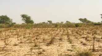 Propriété agricole 2,15 hectares à vendre – Méouane, Thiès