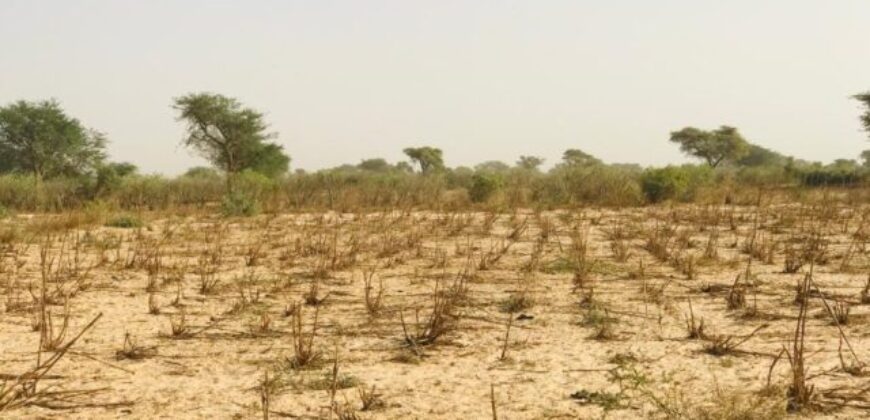 Propriété agricole 2,15 hectares à vendre – Méouane, Thiès