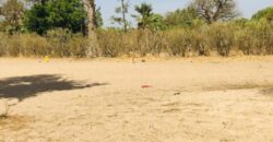 Propriété agricole 3502 m² à vendre – Notto Diobass, Thiès