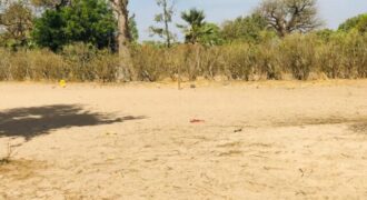 Propriété agricole 3502 m² à vendre – Notto Diobass, Thiès