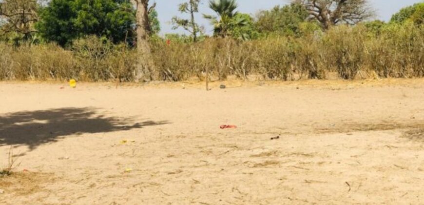 Propriété agricole 3502 m² à vendre – Notto Diobass, Thiès