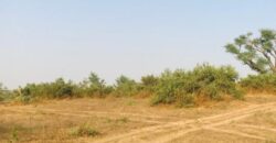 Propriété agricole 39 hectares à vendre – Koul, Thiès