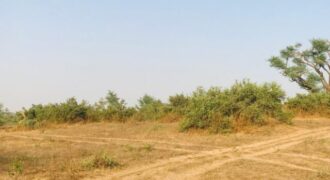 Propriété agricole 39 hectares à vendre – Koul, Thiès