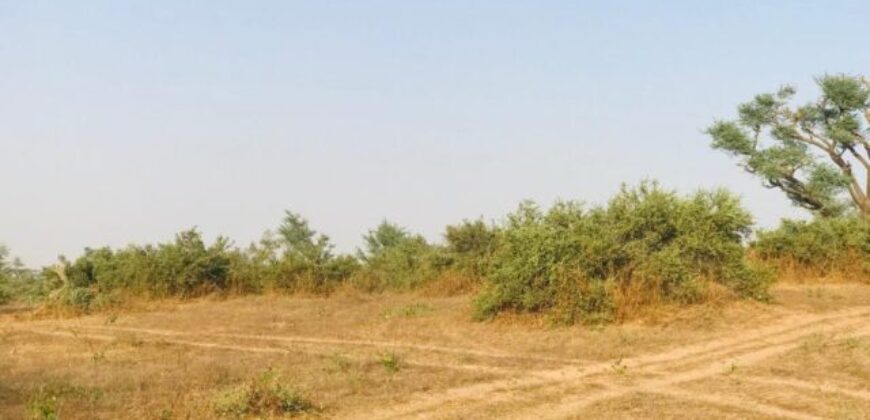 Propriété agricole 39 hectares à vendre – Koul, Thiès