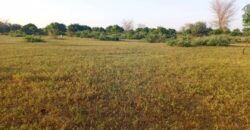 Propriété agricole 47,35 hectares à vendre – Tassette, Thiès