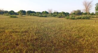 Propriété agricole 47,35 hectares à vendre – Tassette, Thiès