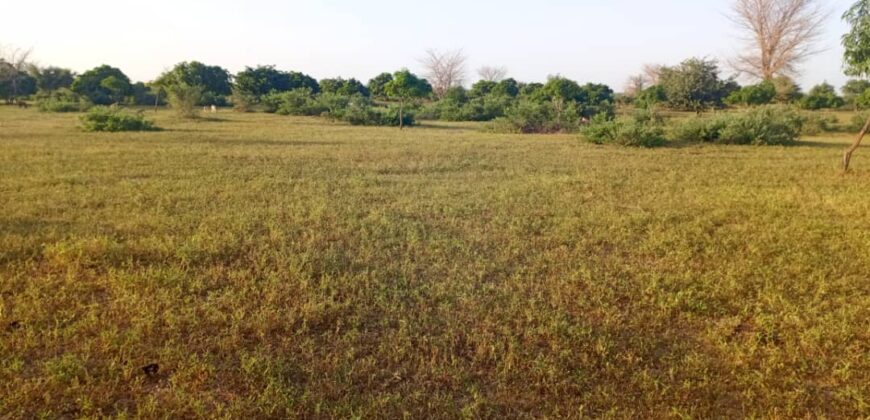 Propriété agricole 47,35 hectares à vendre – Tassette, Thiès