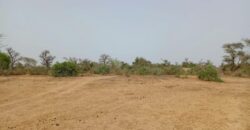 Propriété agricole 5 hectares à vendre – Tassette, Thiès