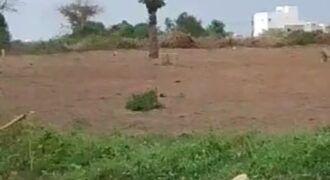 Terrain 150 m² à vendre – Sébi Ponti, Diamniadio