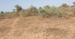 Terrain 6.112 m² à vendre – Thiénaba, Thiès