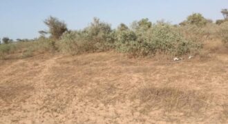 Terrain 6.112 m² à vendre – Thiénaba, Thiès
