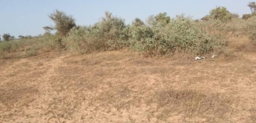 Terrain 6.112 m² à vendre – Thiénaba, Thiès