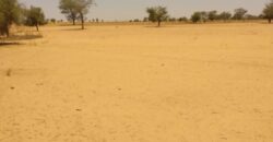 Terrain 6,47 ha à Vendre — Sagata, Louga