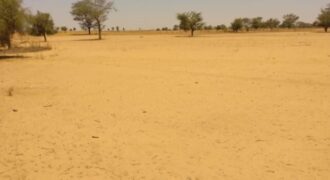 Terrain 6,47 ha à Vendre — Sagata, Louga
