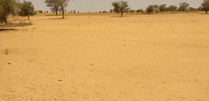 Terrain 6,47 ha à Vendre — Sagata, Louga