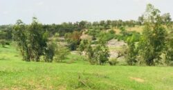Terrain 6,42 ha à Vendre — Dioukoul Diawrigne, Louga