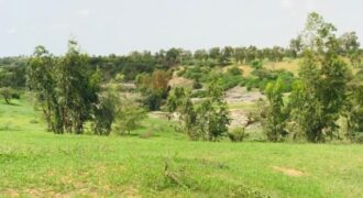 Terrain 6,42 ha à Vendre — Dioukoul Diawrigne, Louga