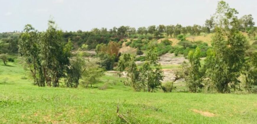 Terrain 6,42 ha à Vendre — Dioukoul Diawrigne, Louga