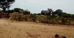 Terrain 6.500 m² à vendre – Nguéniène, Thiès