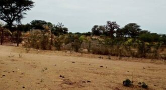 Terrain 6.500 m² à vendre – Nguéniène, Thiès