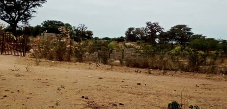 Terrain 6.500 m² à vendre – Nguéniène, Thiès