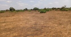 Terrain 6,61 ha à Vendre — Touba Toul, Thiès
