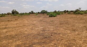 Terrain 6,61 ha à Vendre — Touba Toul, Thiès