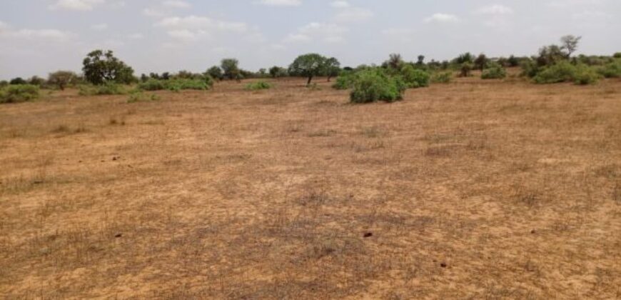 Terrain 6,61 ha à Vendre — Touba Toul, Thiès
