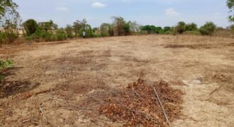 Terrain 6.751 m² à vendre – Notto Diobass, Thiès