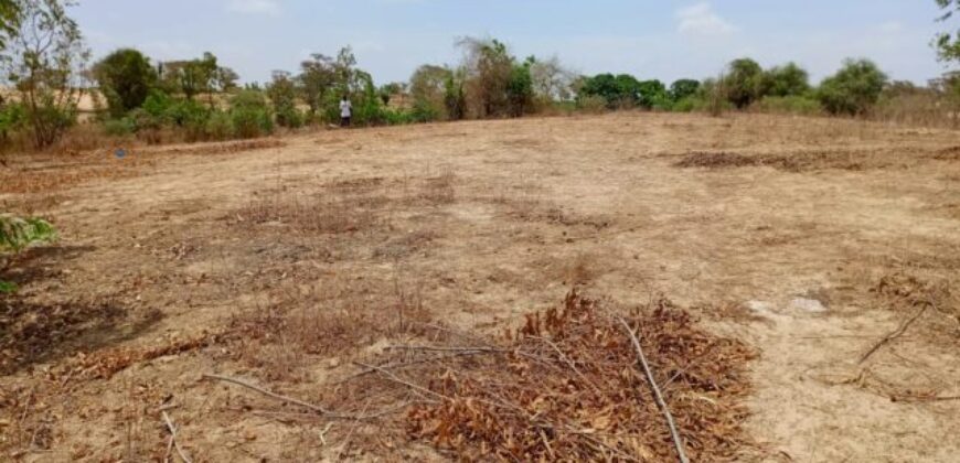 Terrain 6.751 m² à vendre – Notto Diobass, Thiès