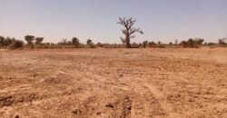 Terrain 6.840 m² à vendre – Notto Diobass, Thiès