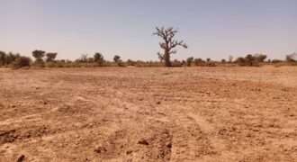 Terrain 6.840 m² à vendre – Notto Diobass, Thiès