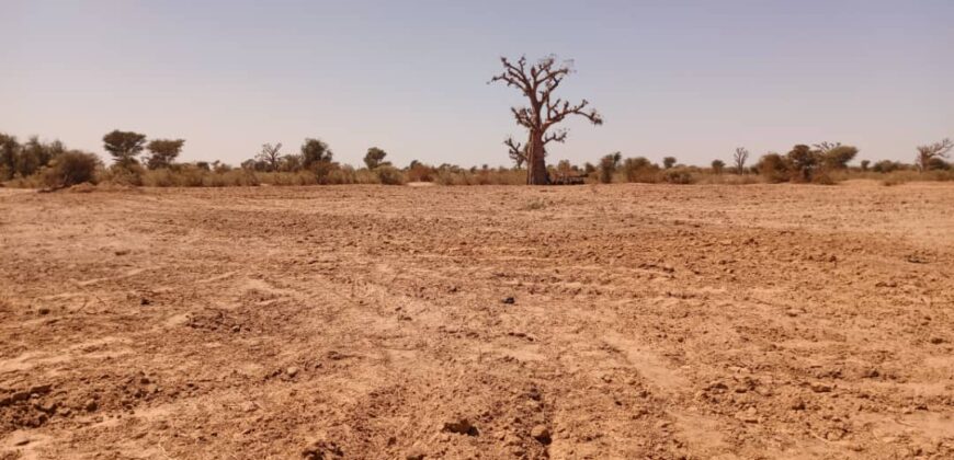Terrain 6.840 m² à vendre – Notto Diobass, Thiès